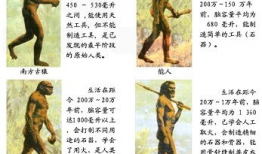 人类的进化视频,人类进化历程的视觉之旅