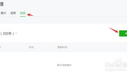 微信公众号视频提取,视频内容深度解析，带你领略精彩瞬间