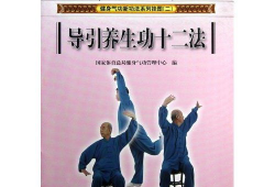导引养生功十二法教学视频,视频教学精华概述